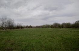 Teren intravilan, 3515 mp, zona Crevedia