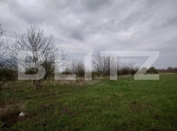 Teren de vânzare Exterior Sud - 167503TV | BLITZ Târgoviște | Poza8