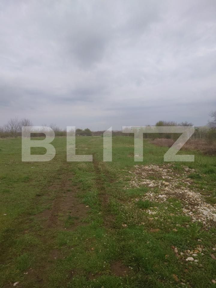 Teren de vânzare Exterior Sud - 167503TV | BLITZ Târgoviște | Poza6
