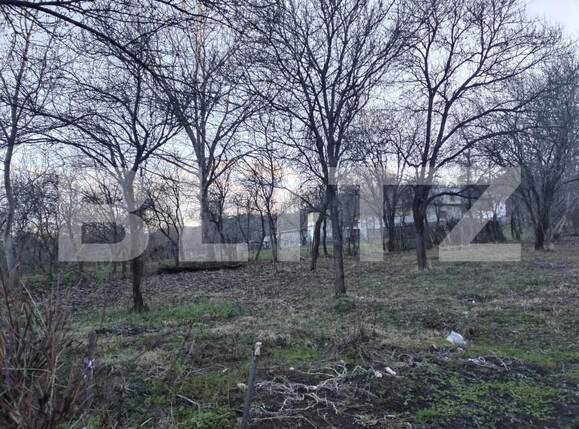 Casa de vânzare 2 camere Pucioasa - 167726CV | BLITZ Târgoviște | Poza4