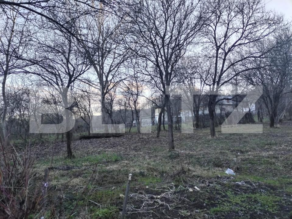 Casa de vânzare 2 camere Pucioasa - 167726CV | BLITZ Târgoviște | Poza4