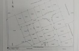 Ultimul lot Teren Intravilan 725 mp zona Lacul Priseaca