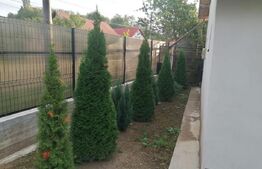 Casă  individuală Pucioasa 