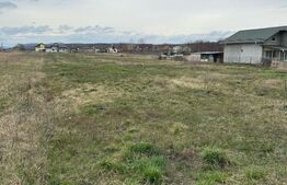 Teren intravilan cu toate utilitatile disponibile Dragomiresti, 4928 mp