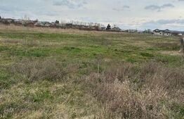 Teren intravilan cu toate utilitatile disponibile Dragomiresti, 4928 mp