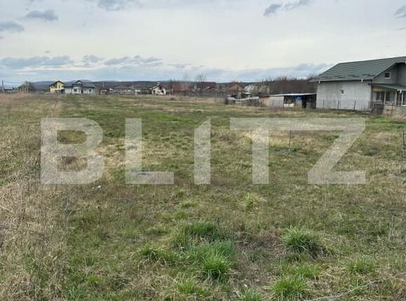 Teren de vânzare Dragomiresti - 168128TV | BLITZ Târgoviște | Poza5