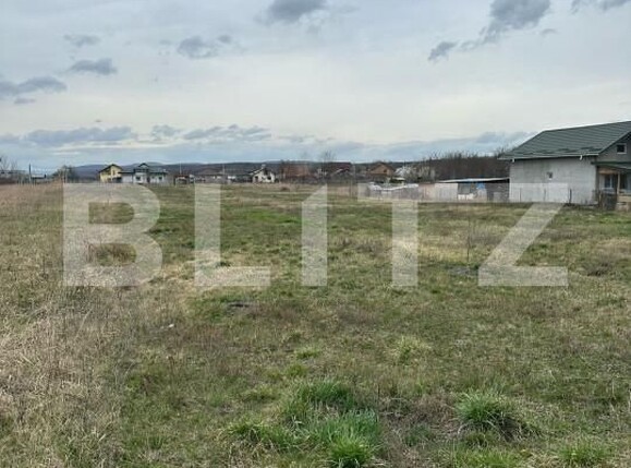 Teren de vânzare Dragomiresti - 168128TV | BLITZ Târgoviște | Poza2