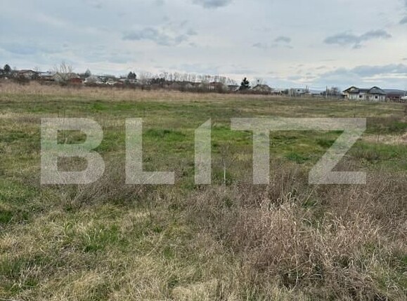 Teren de vânzare Dragomiresti - 168128TV | BLITZ Târgoviște | Poza1