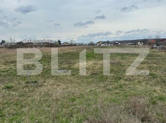 Teren de vânzare Dragomiresti - 168128TV | BLITZ Târgoviște | Poza4