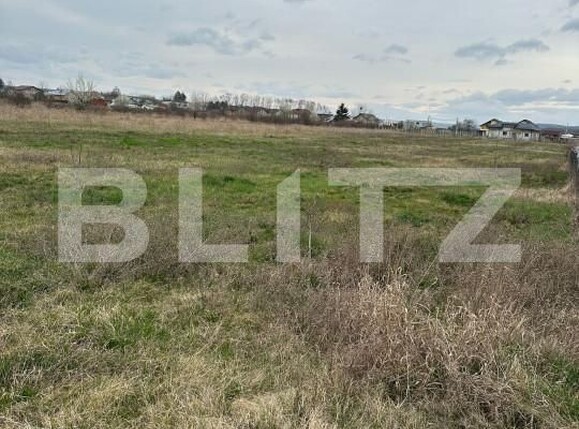 Teren de vânzare Dragomiresti - 168128TV | BLITZ Târgoviște | Poza3