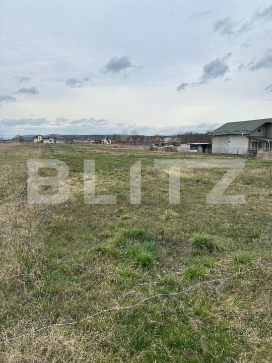 Teren de vânzare Dragomiresti - 168128TV | BLITZ Târgoviște | Poza5