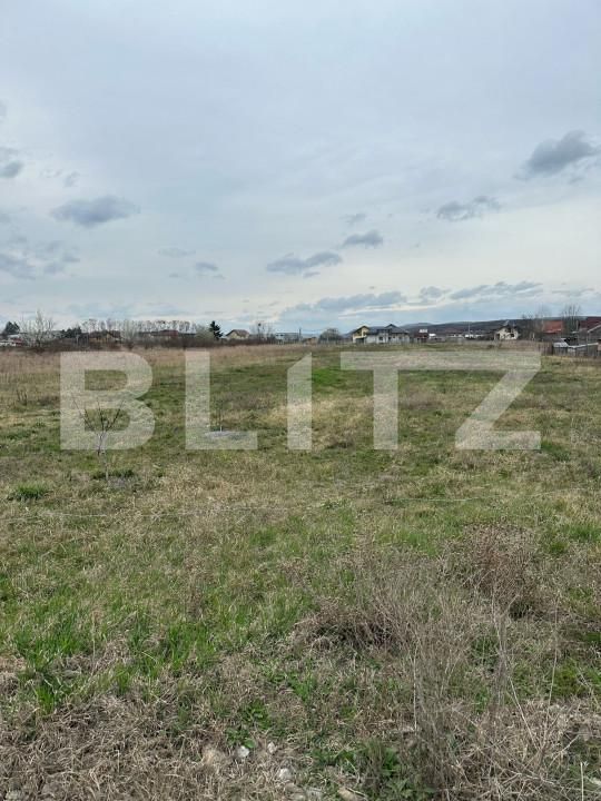 Teren de vânzare Dragomiresti - 168128TV | BLITZ Târgoviște | Poza4