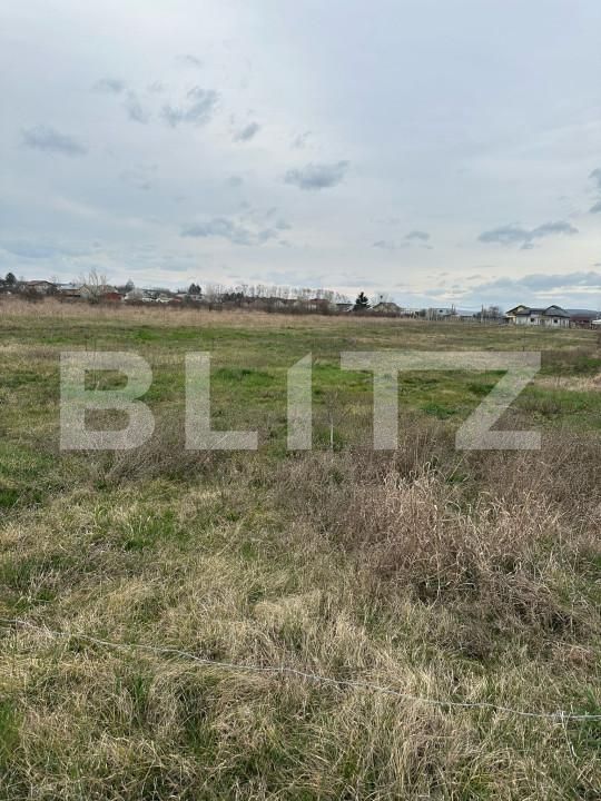 Teren de vânzare Dragomiresti - 168128TV | BLITZ Târgoviște | Poza1