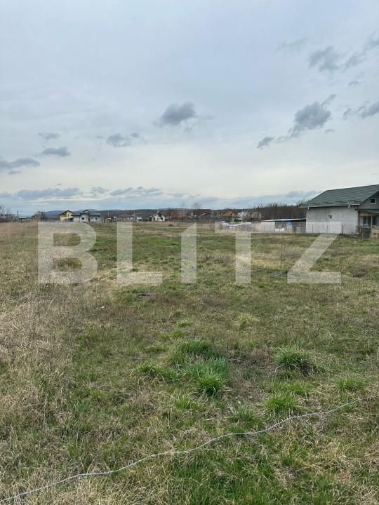 Teren de vânzare Dragomiresti - 168128TV | BLITZ Târgoviște | Poza2