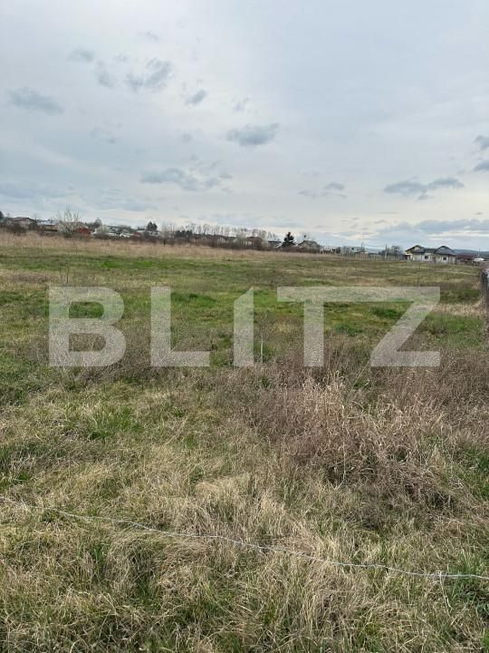 Teren de vânzare Dragomiresti - 168128TV | BLITZ Târgoviște | Poza3