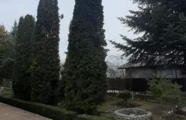 Vila 6 camere, Pucioasa