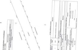 Livada de vanzare, 10000 mp, zona Voinesti