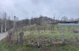 Teren Intravilan, 1964 mp, zona Comuna Bezdead