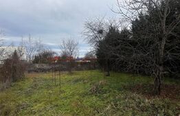 Spațiu de închiriat pentru activități comerciale în Ulmi