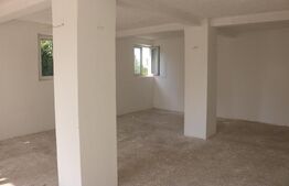 Spațiu de închiriat pentru activități comerciale în Ulmi