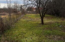 Spațiu de închiriat pentru activități comerciale în Ulmi