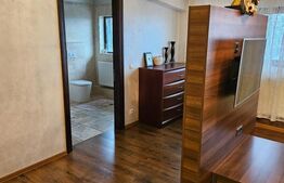 Apartament de lux in Viforata