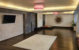 Apartament de lux in Viforata