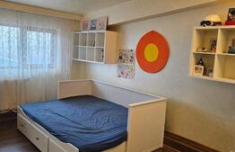 Apartament de lux in Viforata