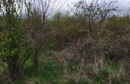 Teren INTRAVILAN 8280 mp, zona Laminorului
