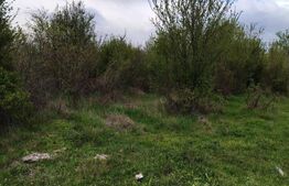 Teren INTRAVILAN 8280 mp, zona Laminorului