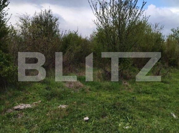 Teren de vânzare Centura - 168726TV | BLITZ Târgoviște | Poza2