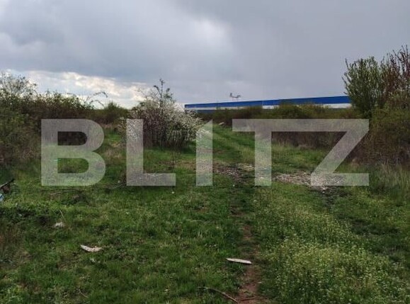 Teren de vânzare Centura - 168726TV | BLITZ Târgoviște | Poza6