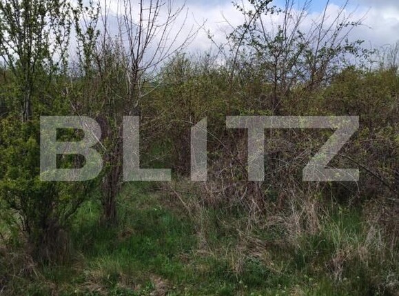 Teren de vânzare Centura - 168726TV | BLITZ Târgoviște | Poza3