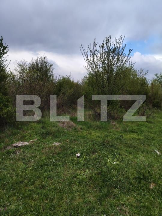 Teren de vânzare Centura - 168726TV | BLITZ Târgoviște | Poza2