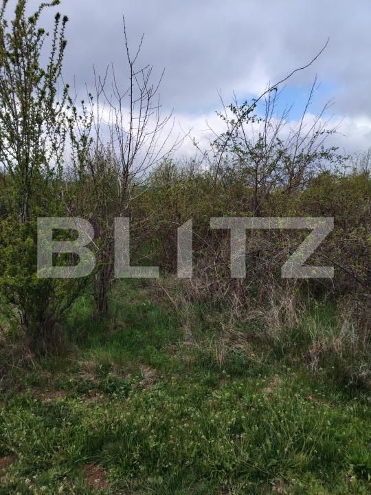 Teren de vânzare Centura - 168726TV | BLITZ Târgoviște | Poza3