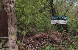 Teren partial intravilan, 8975 mp in Gura Foii