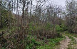 Teren partial intravilan, 8975 mp in Gura Foii