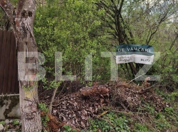 Teren de vânzare Valea Voievozilor - 168898TV | BLITZ Târgoviște | Poza1