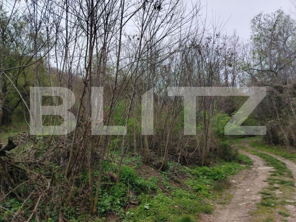 Teren de vânzare Valea Voievozilor - 168898TV | BLITZ Târgoviște | Poza4