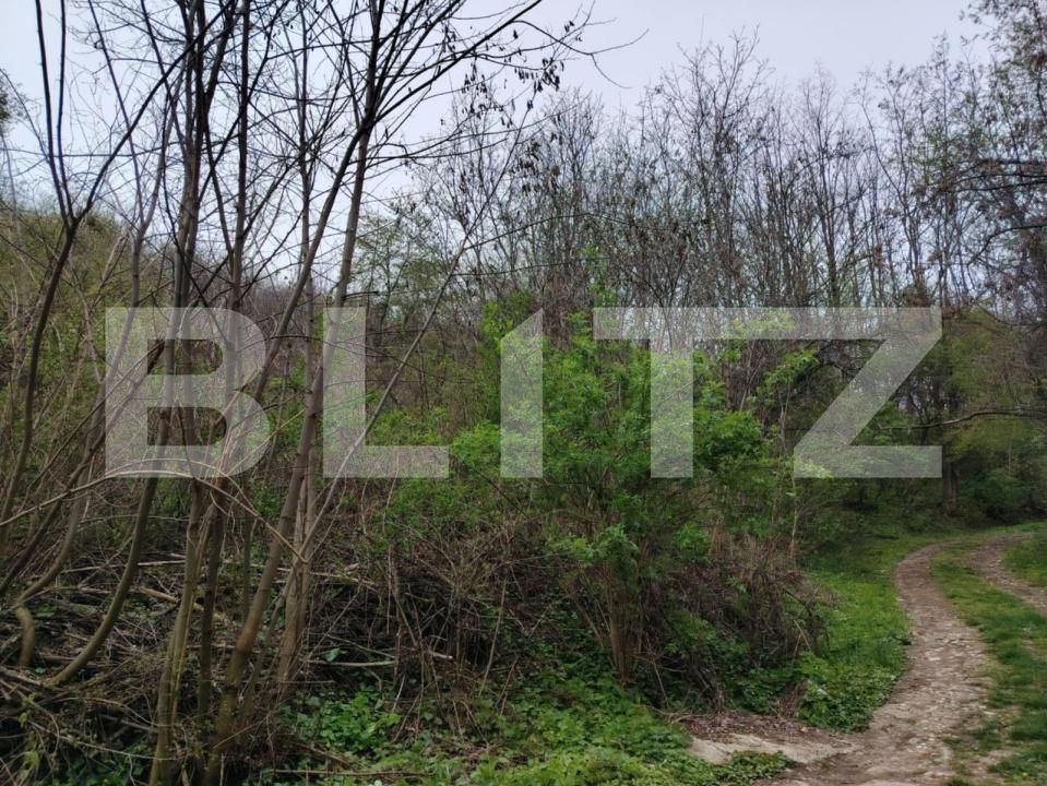 Teren de vânzare Valea Voievozilor - 168898TV | BLITZ Târgoviște | Poza3