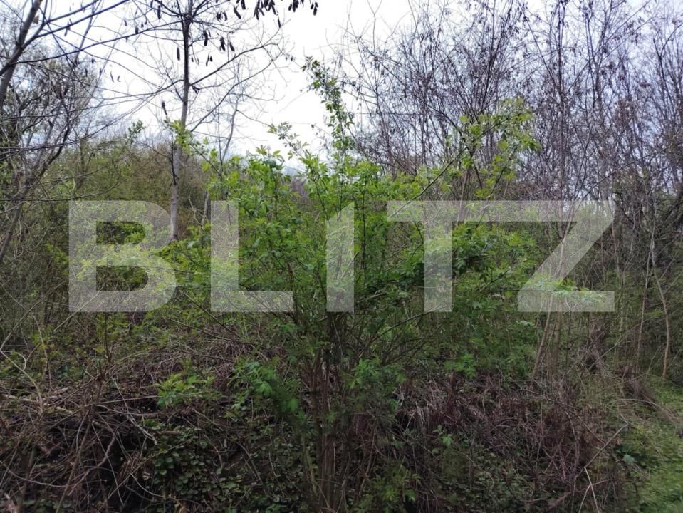 Teren de vânzare Valea Voievozilor - 168898TV | BLITZ Târgoviște | Poza2