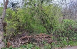 Teren 8975 mp in Gura Vaii