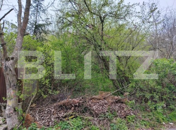 Teren de vânzare Valea Voievozilor - 168949TV | BLITZ Târgoviște | Poza2