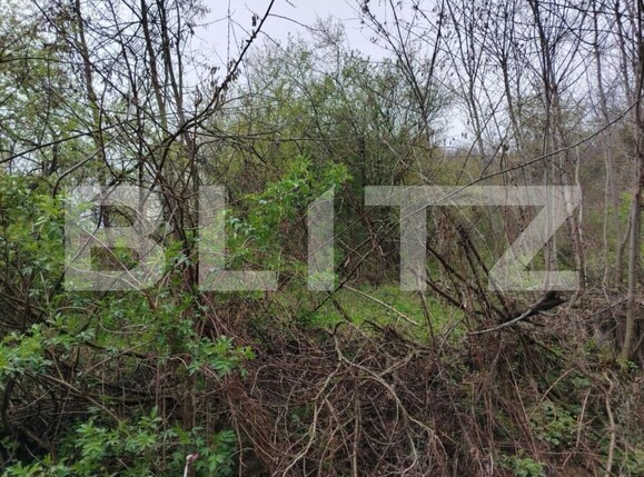 Teren de vânzare Valea Voievozilor - 168949TV | BLITZ Târgoviște | Poza5