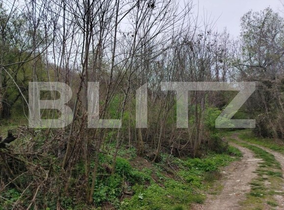 Teren de vânzare Valea Voievozilor - 168949TV | BLITZ Târgoviște | Poza4