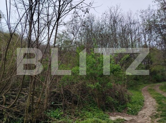 Teren de vânzare Valea Voievozilor - 168949TV | BLITZ Târgoviște | Poza1