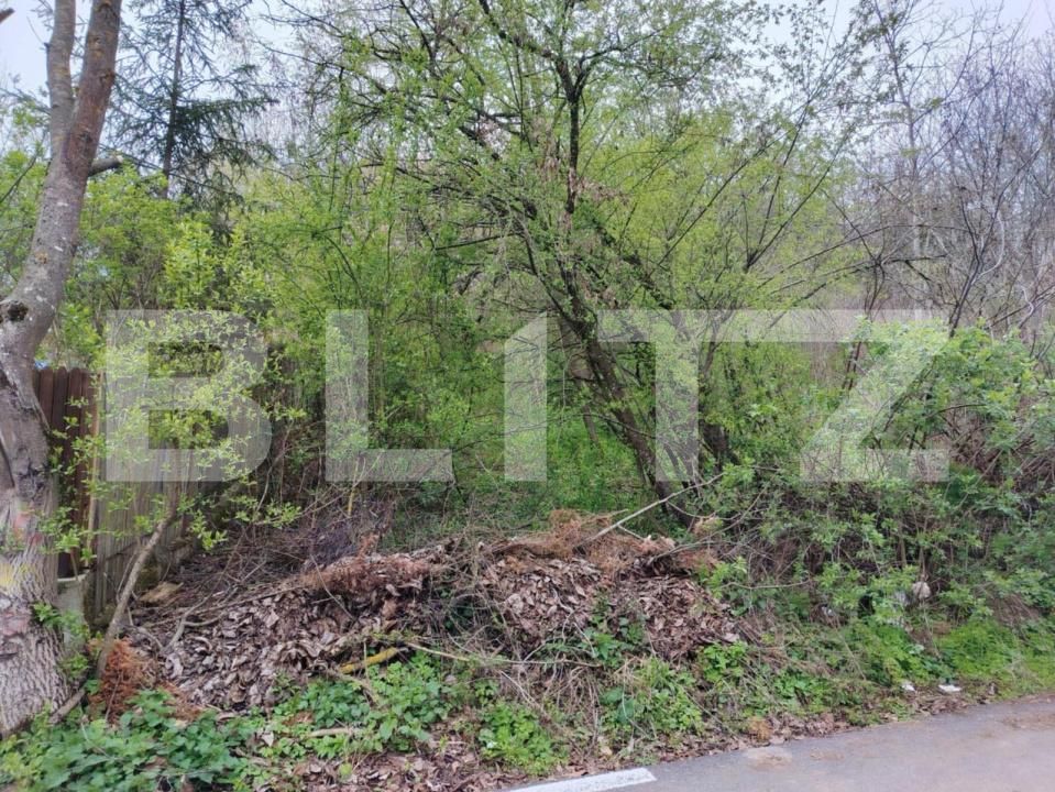 Teren de vânzare Valea Voievozilor - 168949TV | BLITZ Târgoviște | Poza3