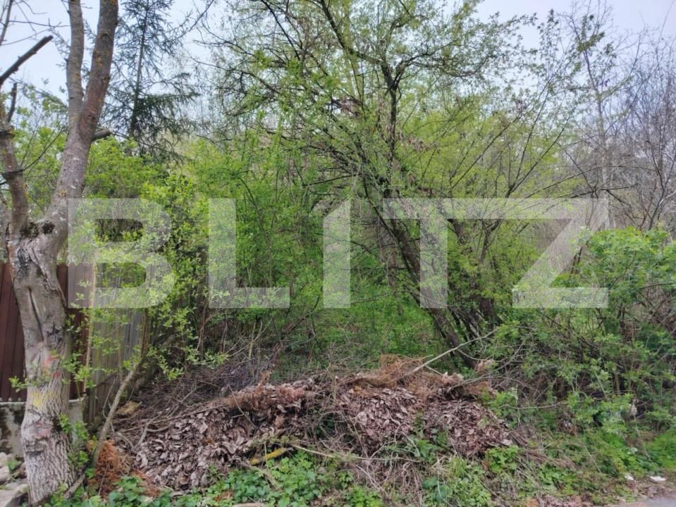 Teren de vânzare Valea Voievozilor - 168949TV | BLITZ Târgoviște | Poza2