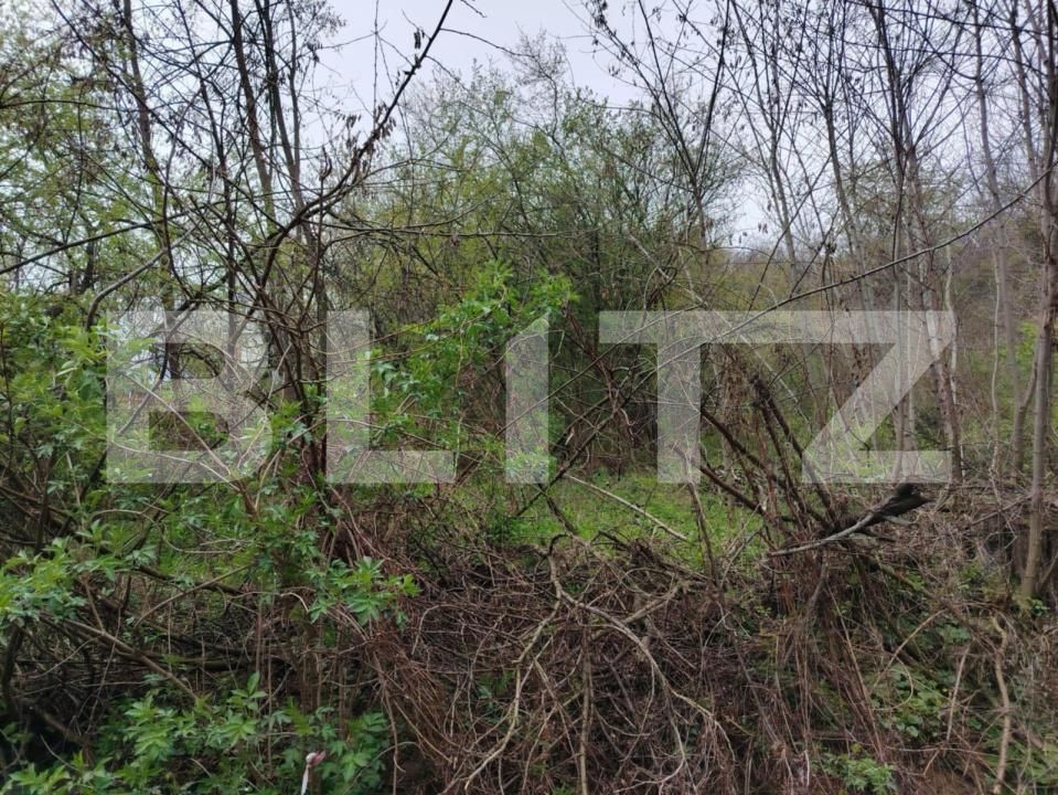 Teren de vânzare Valea Voievozilor - 168949TV | BLITZ Târgoviște | Poza5