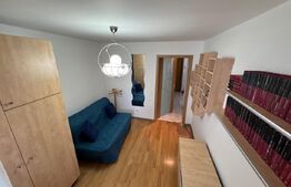 Apartament de inchiriat in Pucioasa 